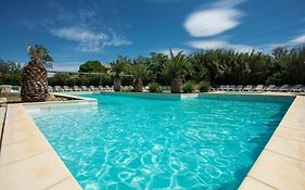 Joli Mazet Provencal De Camargue